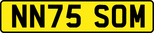 NN75SOM
