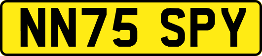 NN75SPY