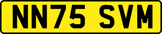 NN75SVM
