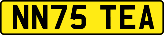 NN75TEA