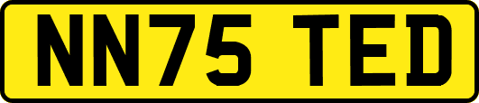 NN75TED