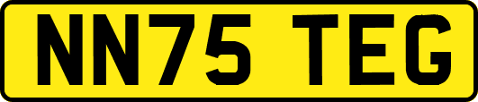 NN75TEG