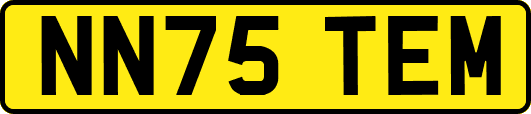 NN75TEM