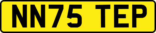 NN75TEP