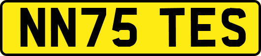 NN75TES