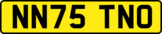 NN75TNO