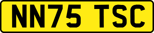 NN75TSC
