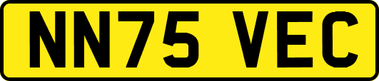 NN75VEC