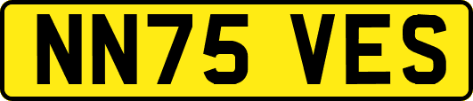 NN75VES