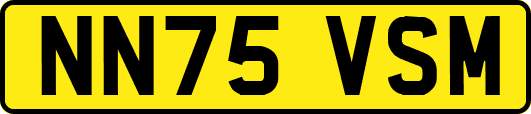 NN75VSM