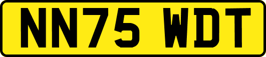 NN75WDT