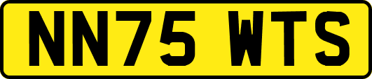 NN75WTS
