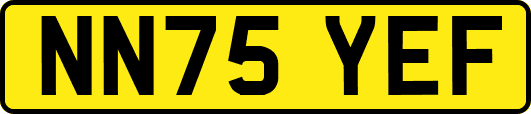 NN75YEF