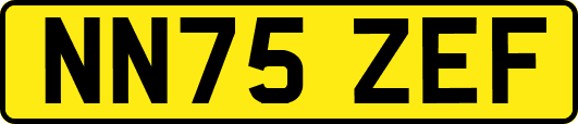 NN75ZEF