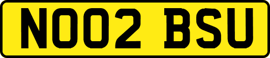 NO02BSU