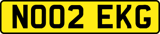 NO02EKG