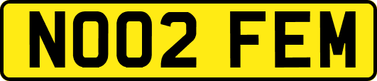 NO02FEM