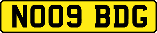 NO09BDG