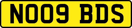 NO09BDS