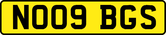 NO09BGS