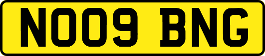 NO09BNG