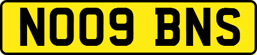 NO09BNS