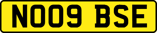 NO09BSE