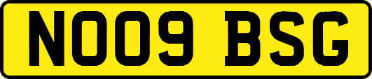 NO09BSG