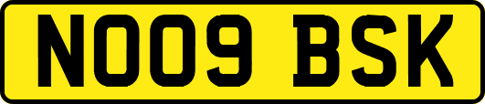 NO09BSK