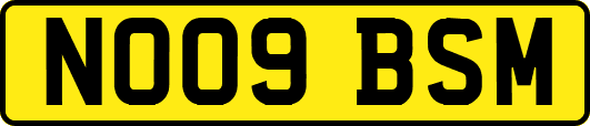 NO09BSM