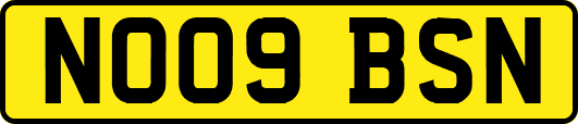 NO09BSN