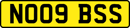 NO09BSS