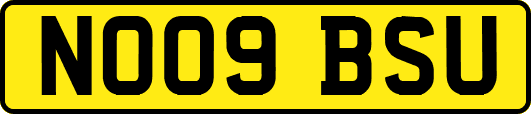 NO09BSU