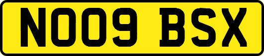 NO09BSX