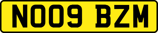 NO09BZM