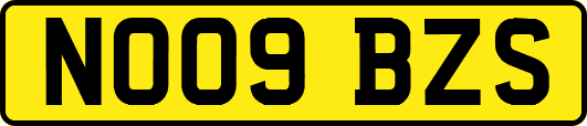 NO09BZS