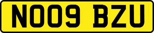 NO09BZU