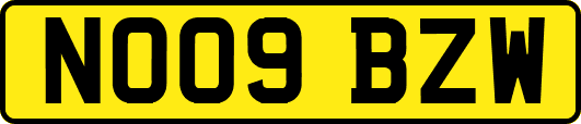 NO09BZW