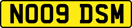 NO09DSM