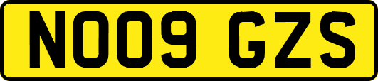NO09GZS
