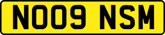 NO09NSM