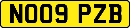 NO09PZB