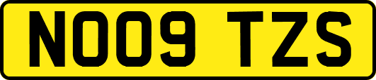 NO09TZS