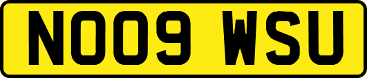 NO09WSU