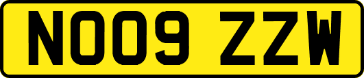 NO09ZZW