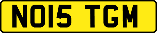 NO15TGM