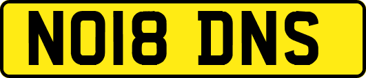 NO18DNS