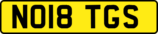 NO18TGS