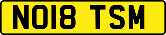 NO18TSM