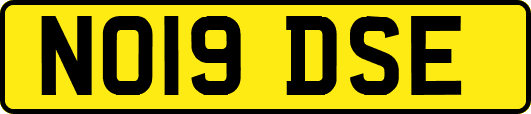 NO19DSE